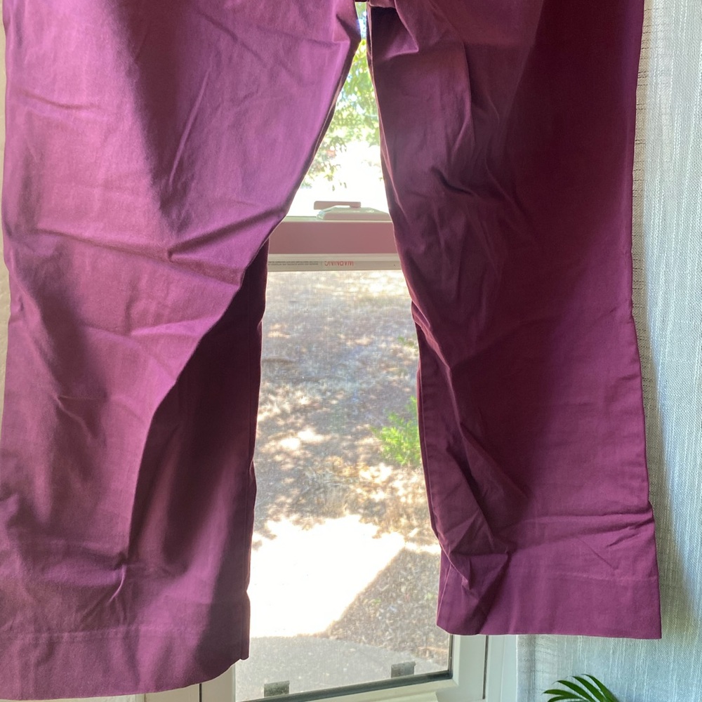 LOFT Original Crop Pants Purple Size 10 - Picture 5 of 10